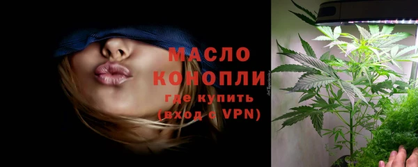 стаф Дмитров