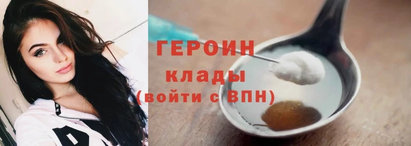 стаф Дмитров