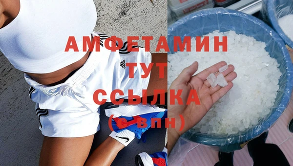 стаф Дмитров