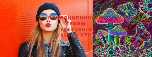 не бодяженный Дмитриев