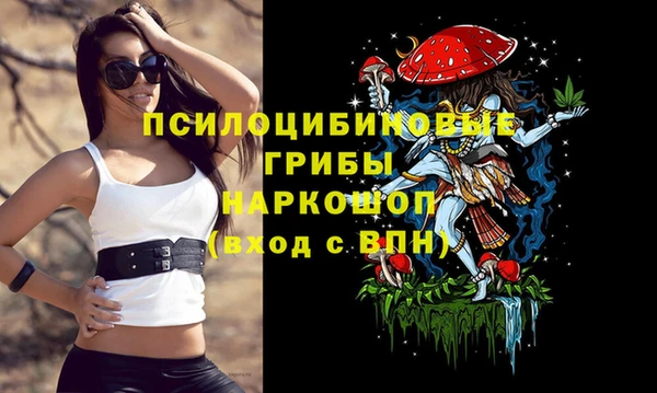 не бодяженный Дмитриев