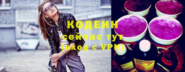 стаф Дмитров
