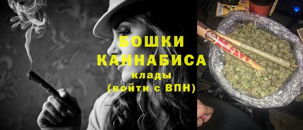 стаф Дмитров