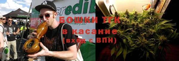 стаф Дмитров