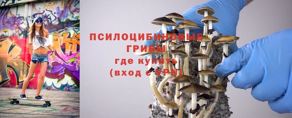 стаф Дмитров