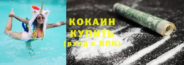 стаф Дмитров